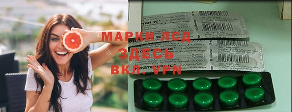 spice Алзамай