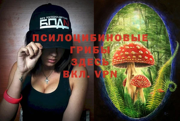дмт Алексеевка